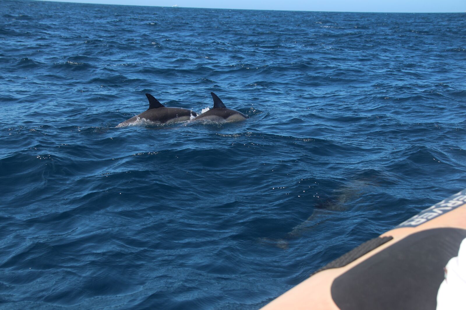 Canon EOS 700D (EOS Rebel T5i / EOS Kiss X7i) sample photo. Whales, whale watching, marine photography