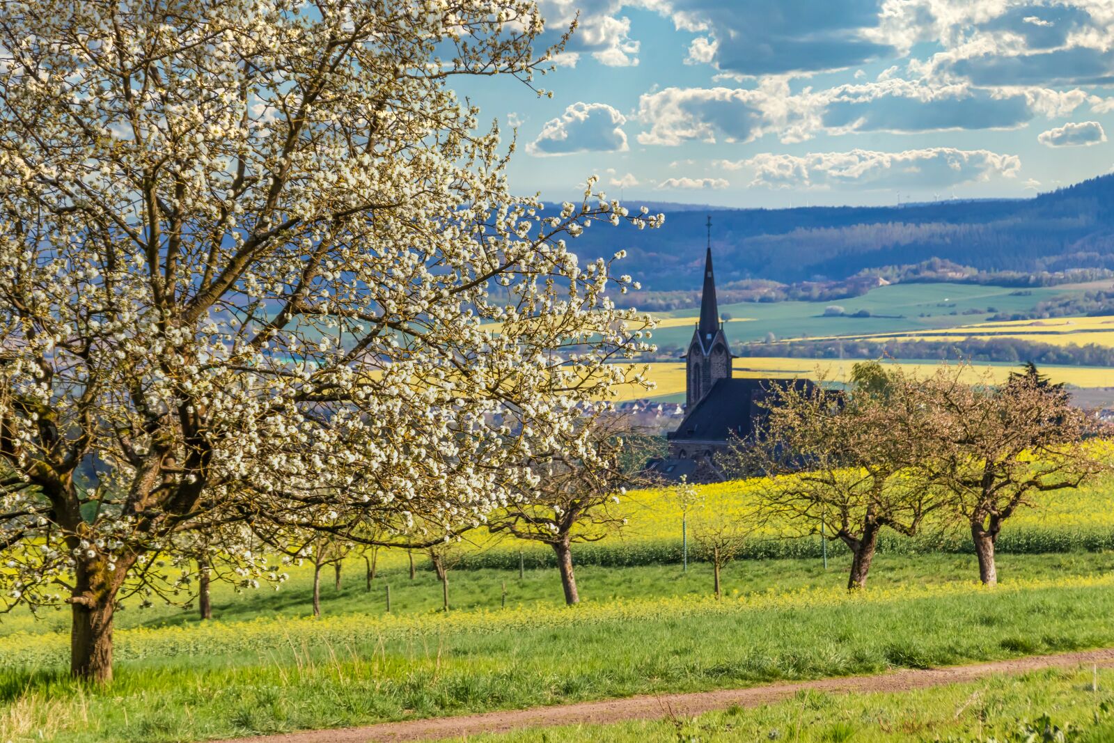 Canon EOS 80D sample photo. Landscape, nature, spring village photography