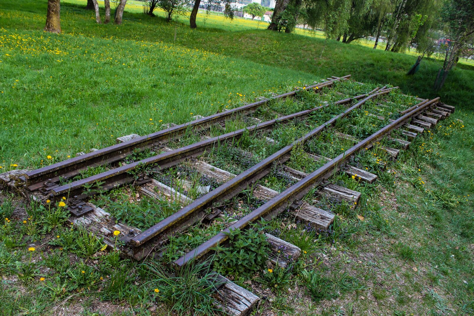 Canon EOS 600D (Rebel EOS T3i / EOS Kiss X5) sample photo. Rail, lonely, alone photography
