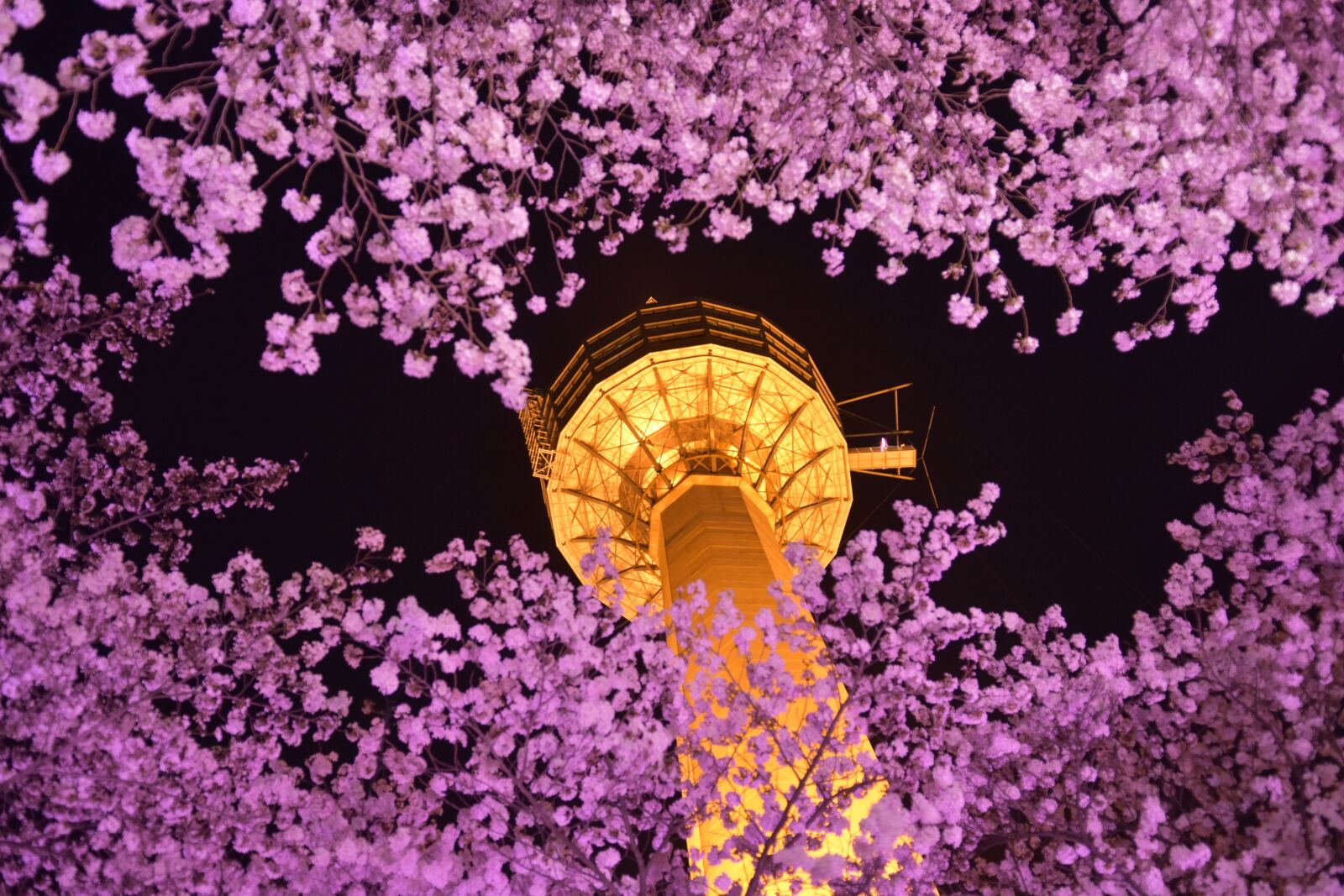 Nikon D7200 sample photo. South korea, daegu, nightview photography