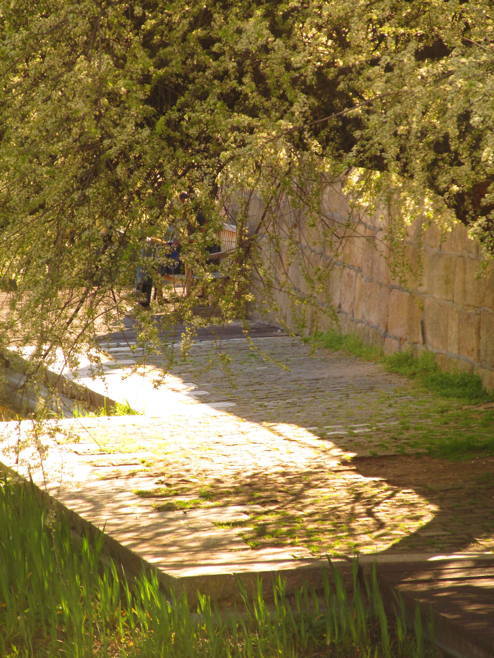 Canon PowerShot SX160 IS sample photo