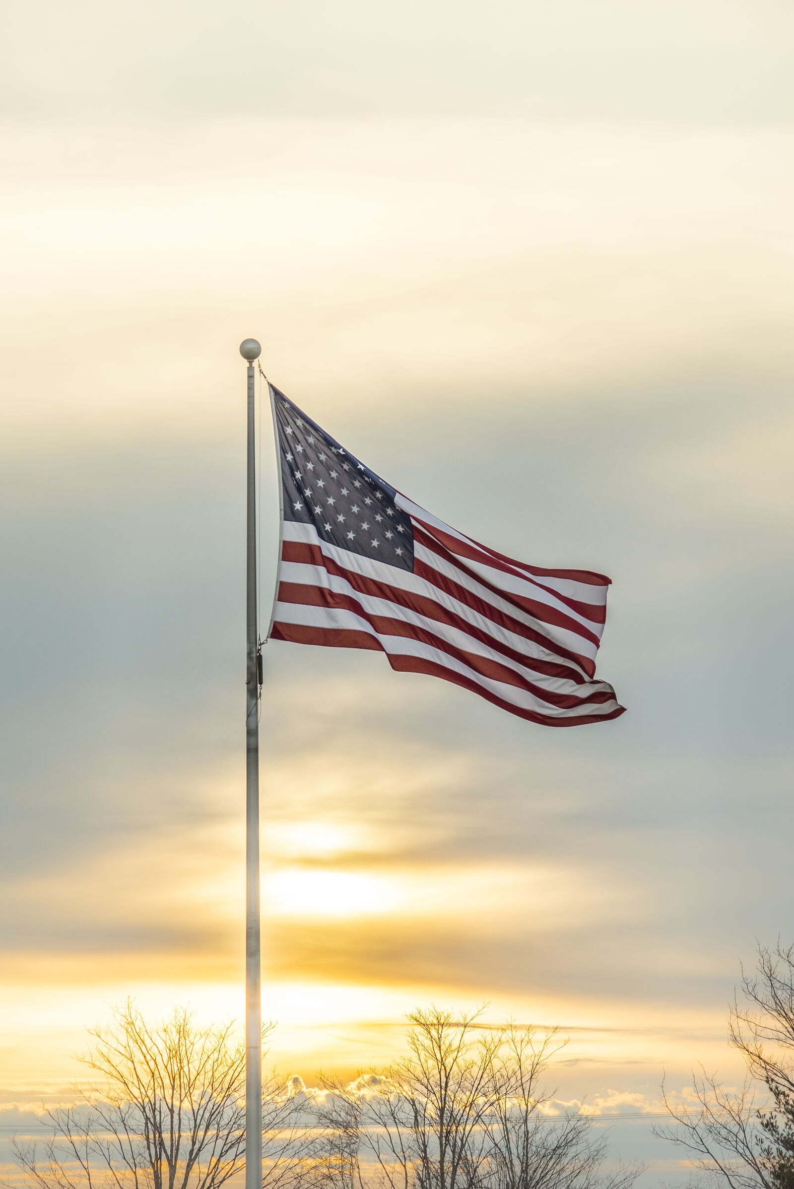 Nikon D810 sample photo. Flag, usa, american photography