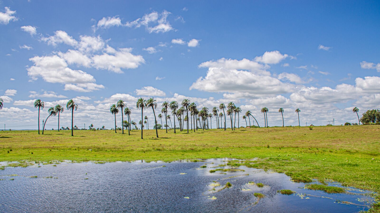 Nikon D7000 sample photo. Lanscape, clouds, sky photography