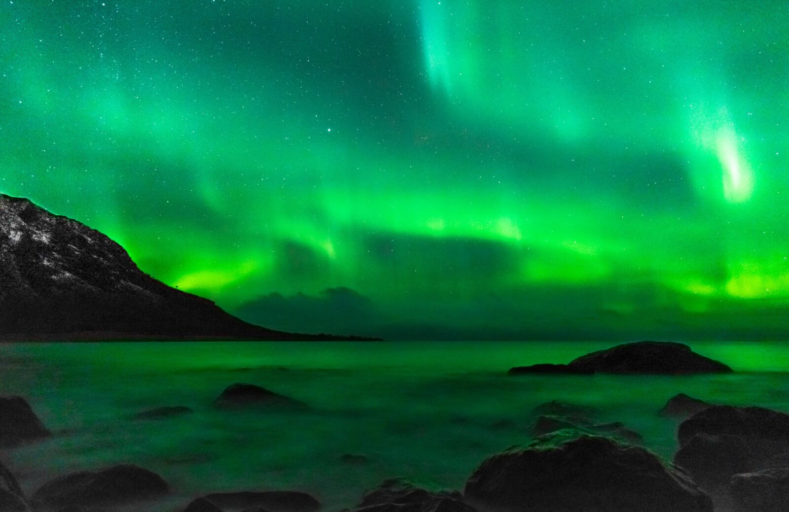 Nikon D5300 sample photo. Northern lights, sky, three photography
