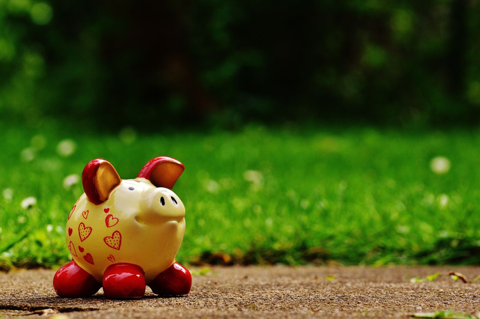 Nikon D3200 sample photo. Piggy bank, heart, funny photography