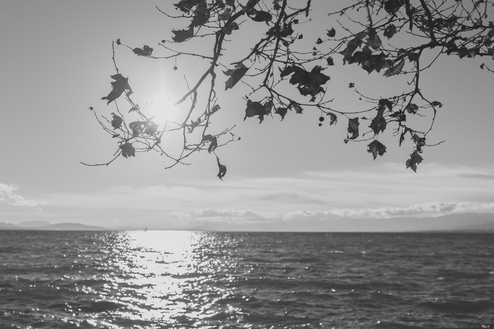 Canon EOS 6D + Sigma 35mm F1.4 DG HSM Art sample photo. Clouds, sun, sunshine, rocks photography