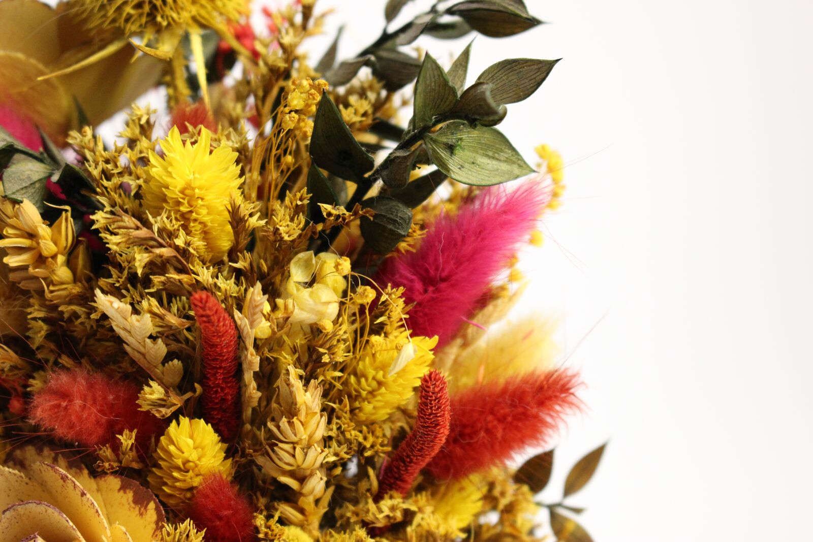 Canon EOS 100D (EOS Rebel SL1 / EOS Kiss X7) sample photo. Decoration, dried grasses, flowers photography