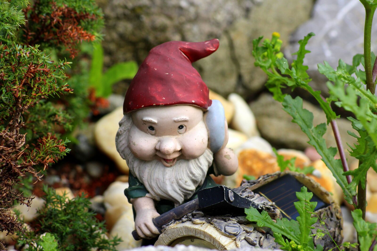 Canon EOS 1200D (EOS Rebel T5 / EOS Kiss X70 / EOS Hi) sample photo. Krasnal, the figurine, fabulous photography