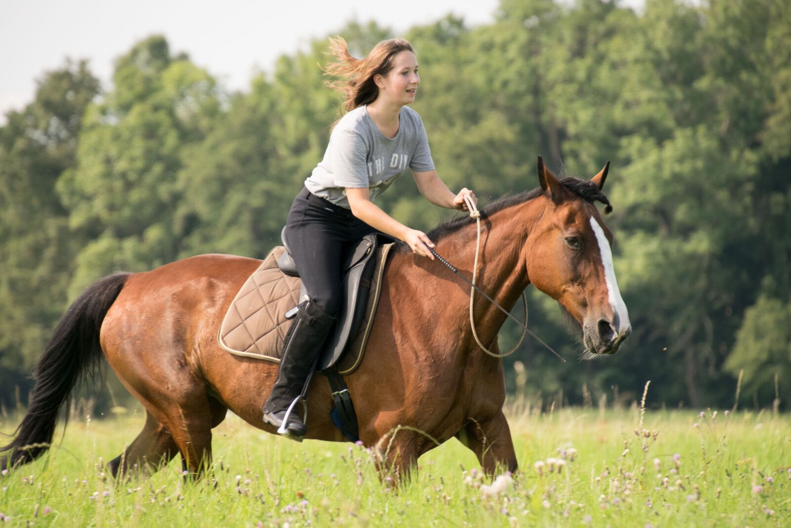 Nikon D3300 sample photo. Mammal, horse, cavalry photography