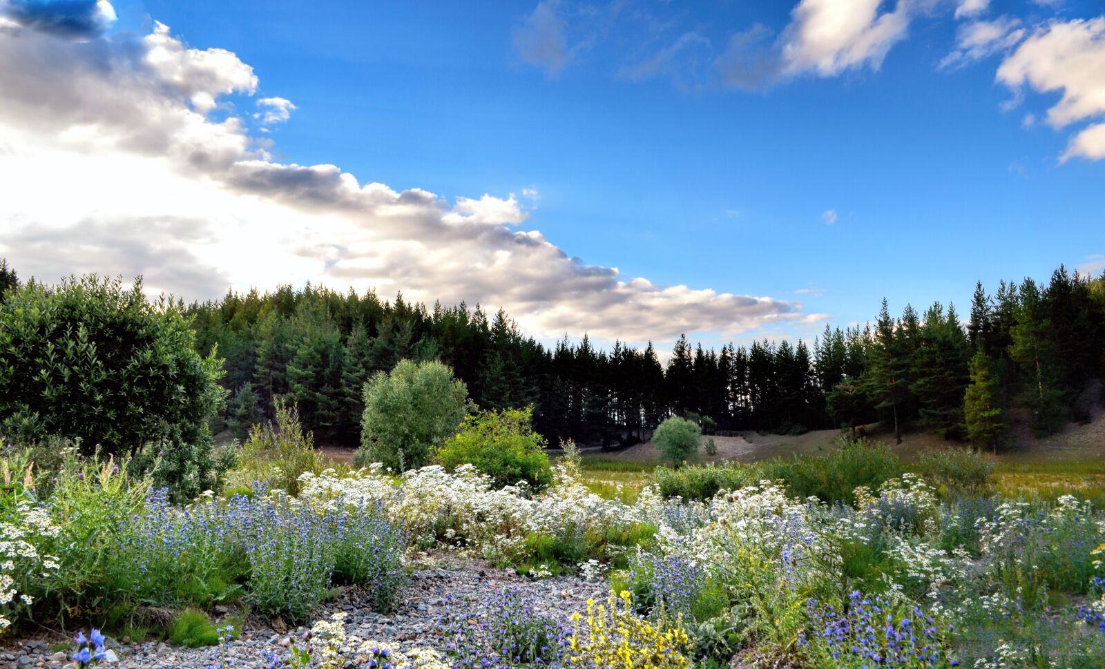 Nikon D5100 sample photo. Nature, landscape, kaçkars photography