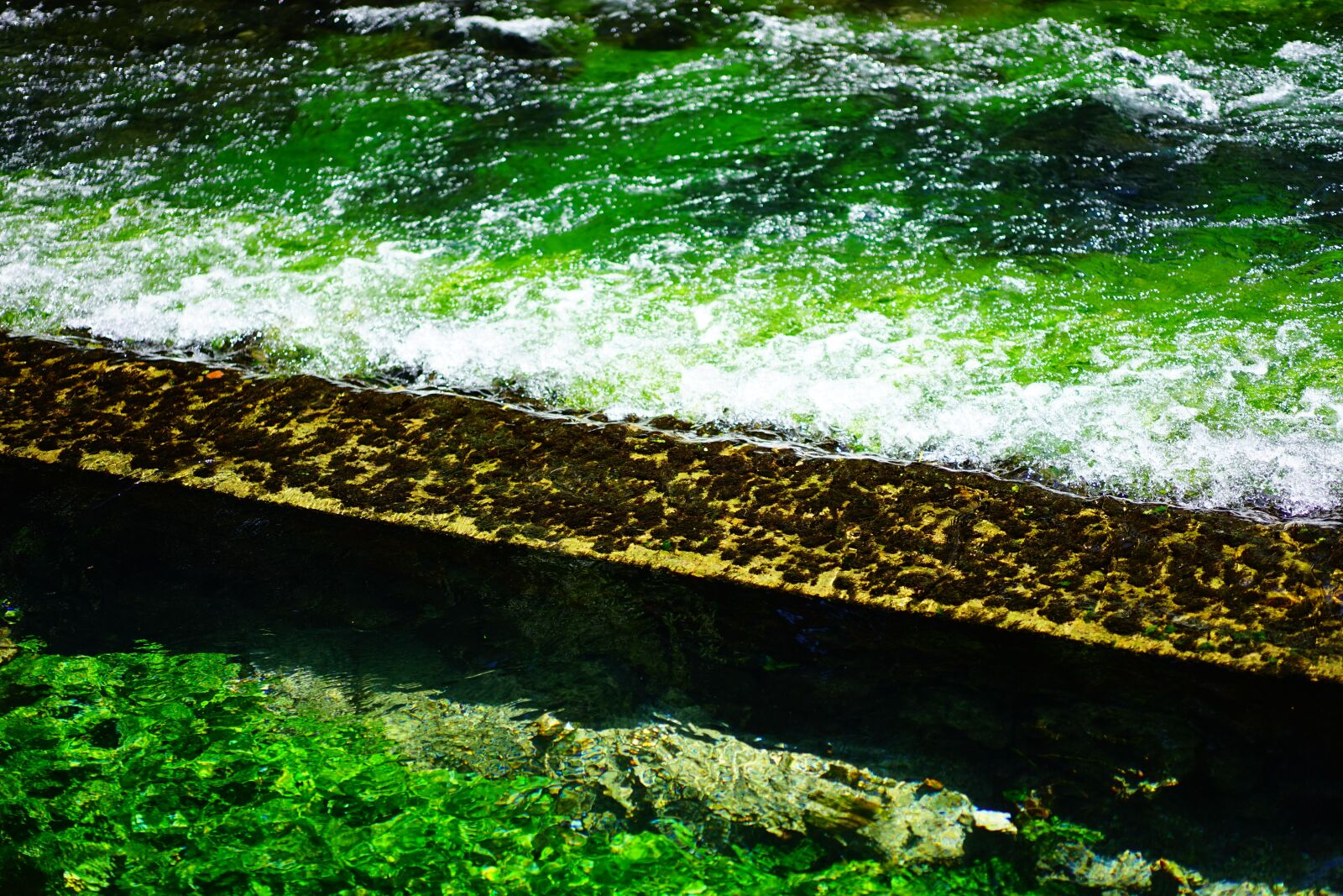 Sony a7 + Sony Sonnar T* FE 55mm F1.8 ZA sample photo. Sorgue, water, clear photography