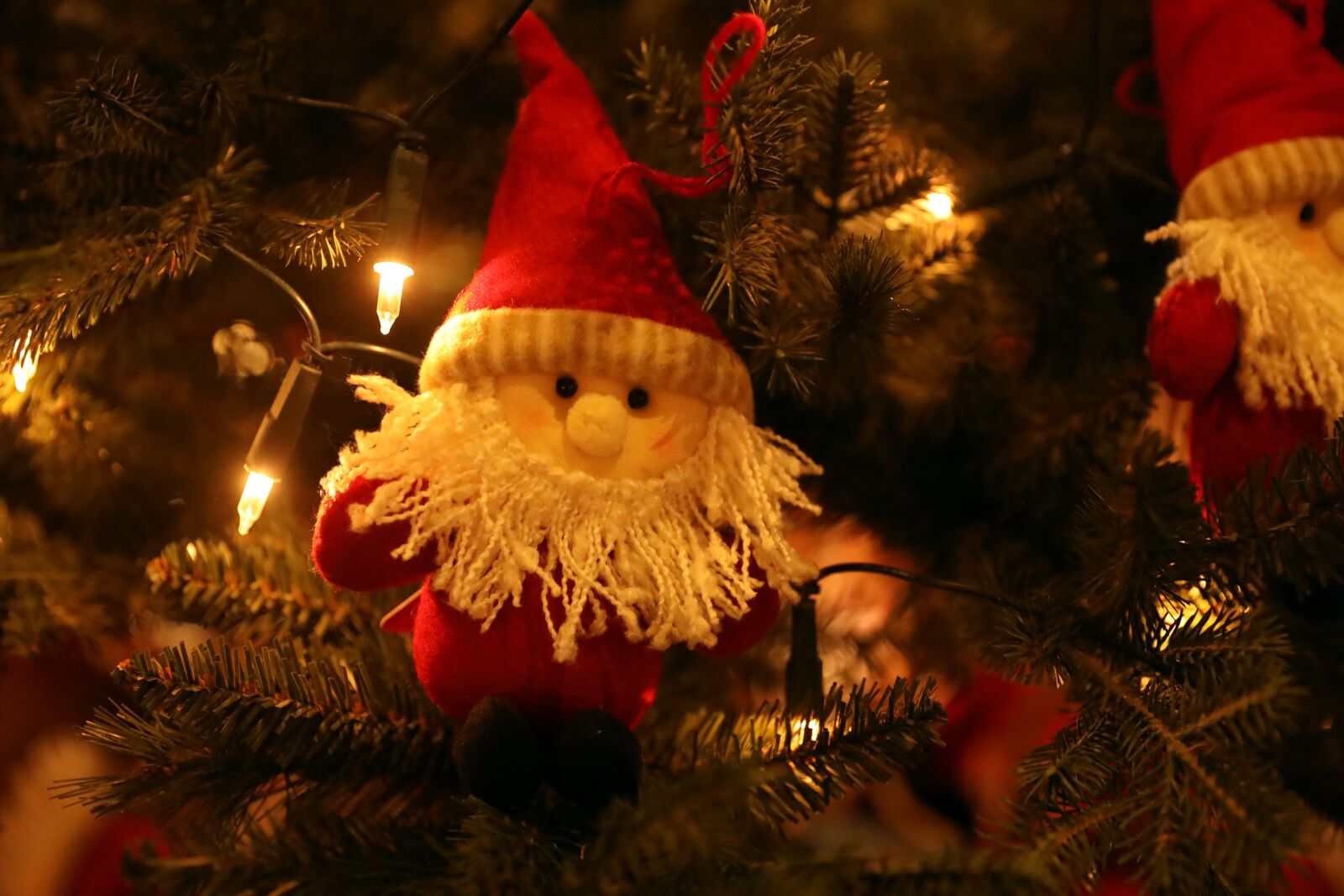 Canon EOS R sample photo. Tree, ornament, santa photography