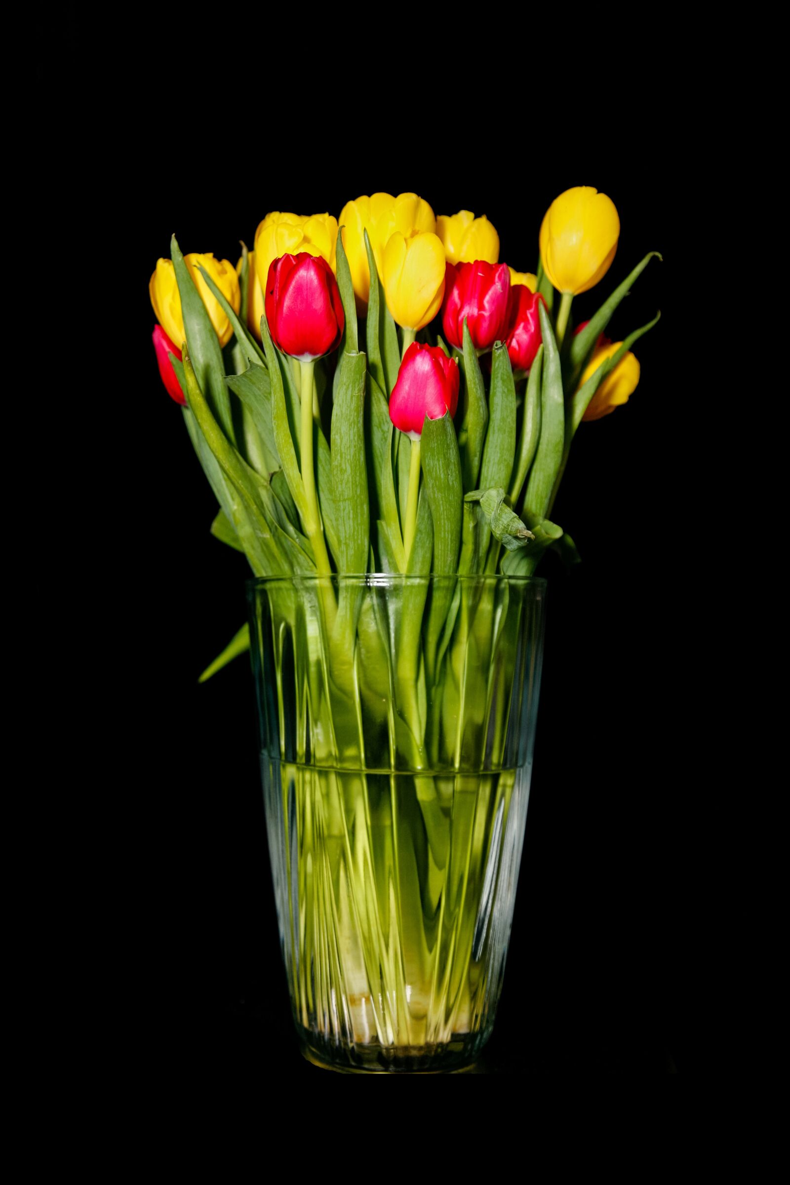 Canon EOS 5D sample photo. Tulips, vase, flowers photography