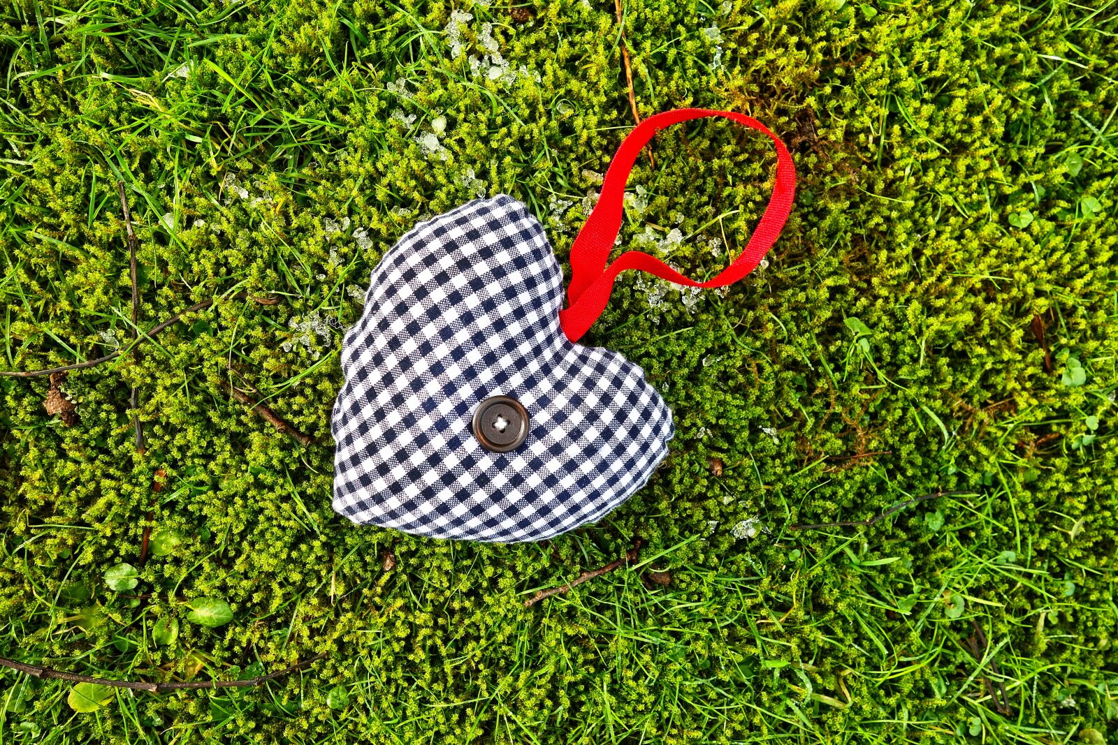 Sony Cyber-shot DSC-RX100 sample photo. Heart, stuffed heart, decoration photography