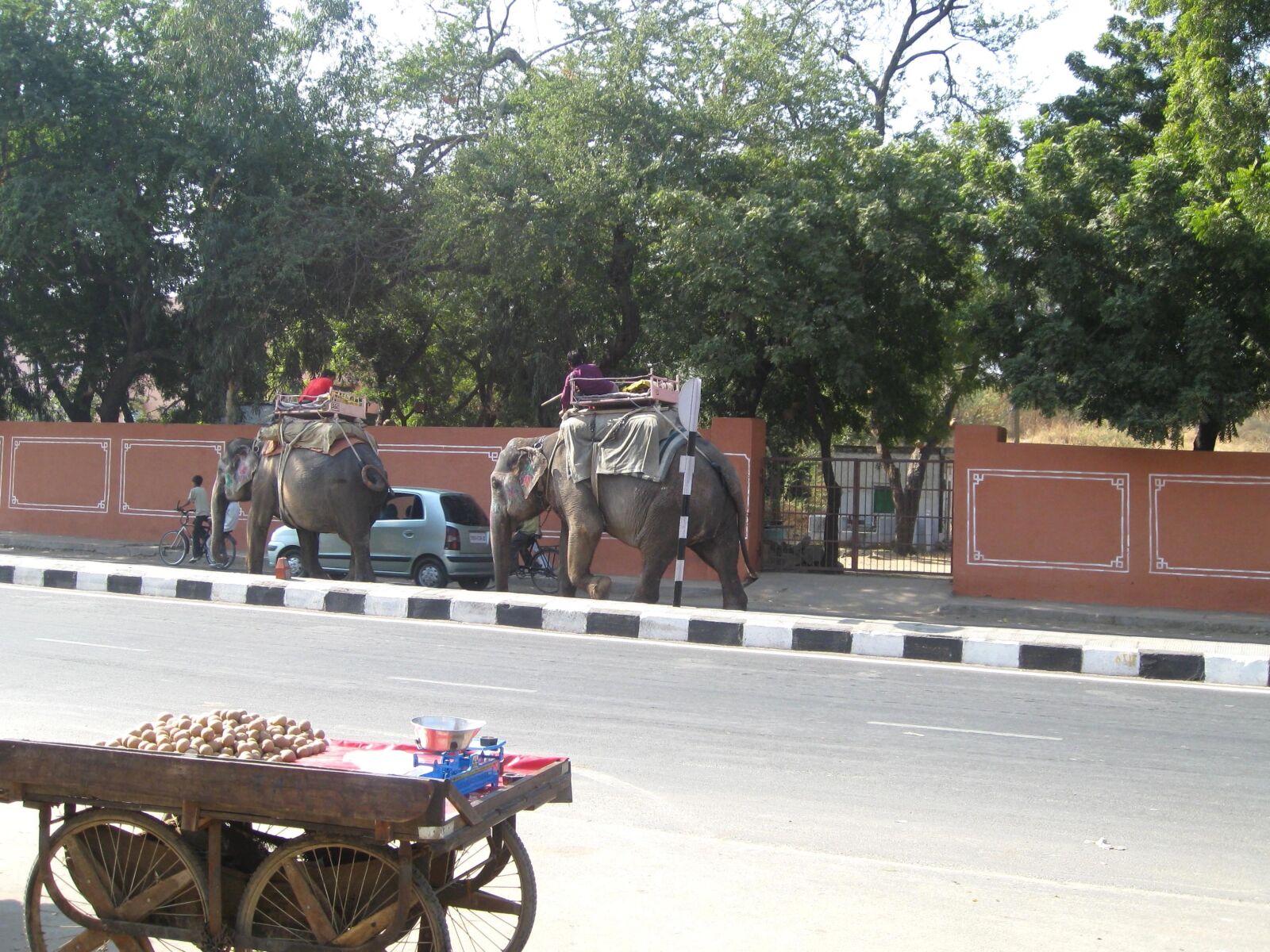 Canon POWERSHOT SD850 IS sample photo. Elephant, india, road, cart photography