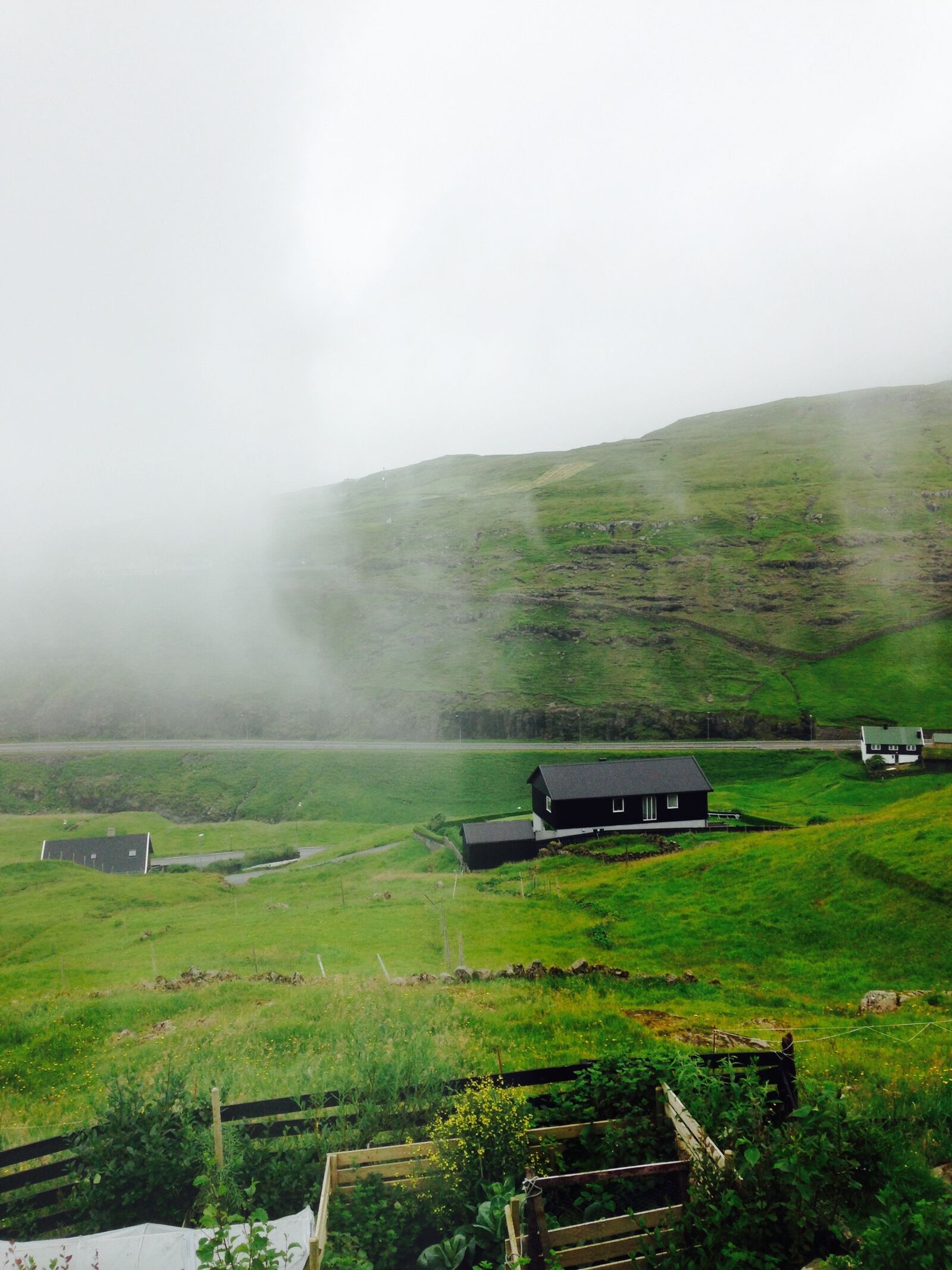iPhone 5c back camera 4.12mm f/2.4 sample photo. Faroeislands, fog, faroe photography