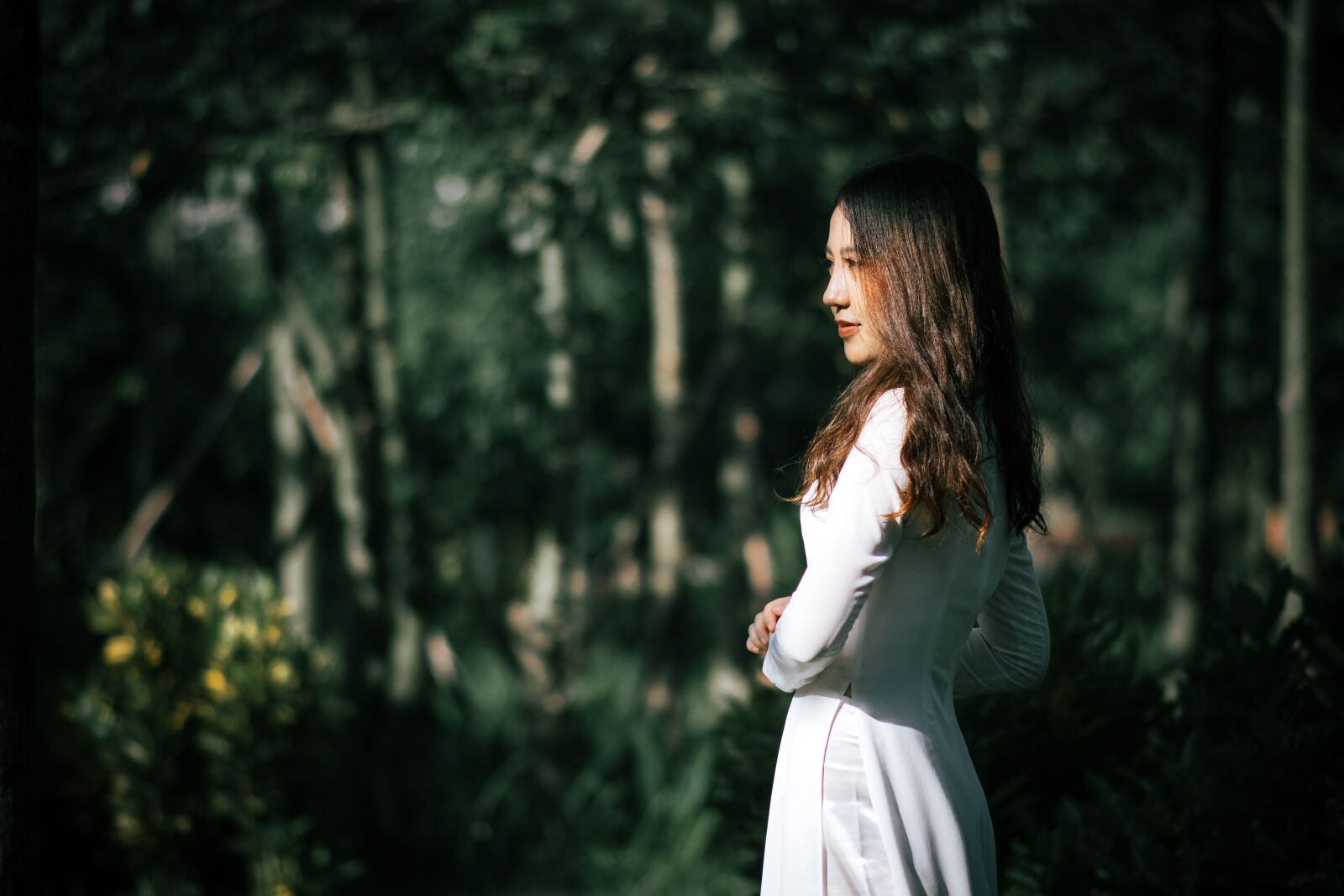 Nikon D7100 sample photo. Rays, girl, forest photography