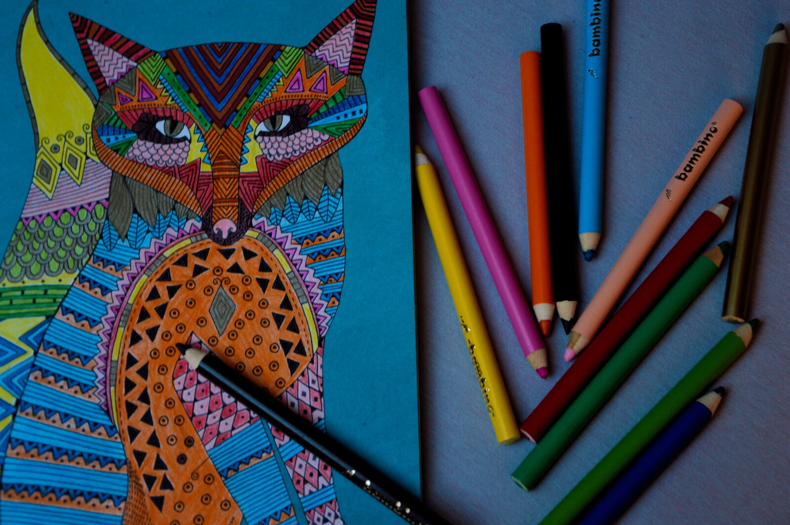 Nikon D3200 sample photo. Bambino, colors, crayons, fox photography