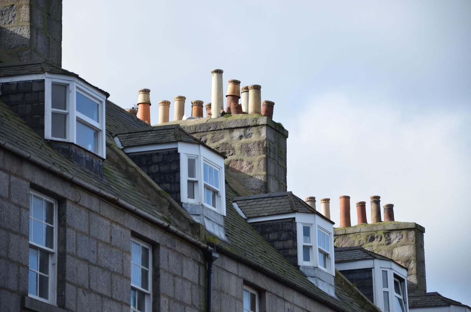 Nikon D7000 sample photo. House, roof, skylights photography