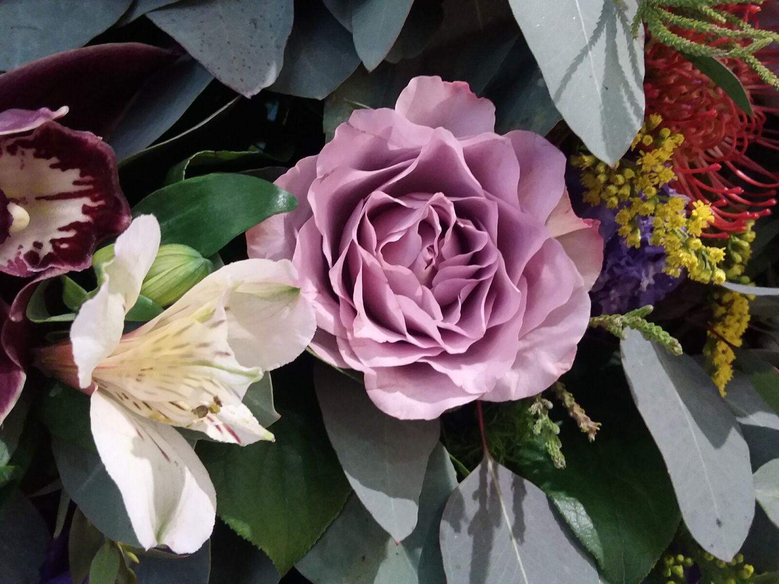Samsung Galaxy J3(2016) sample photo