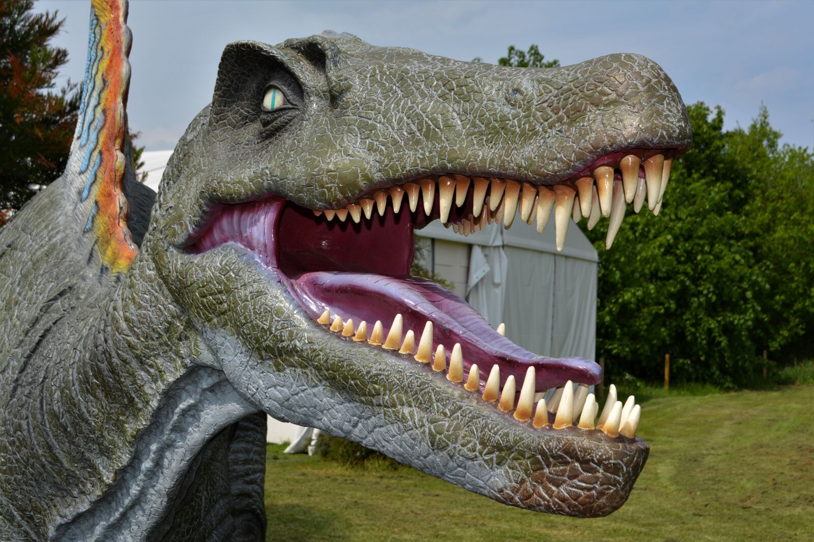 Nikon D5200 sample photo. Dino, dinosaur, hagbard photography