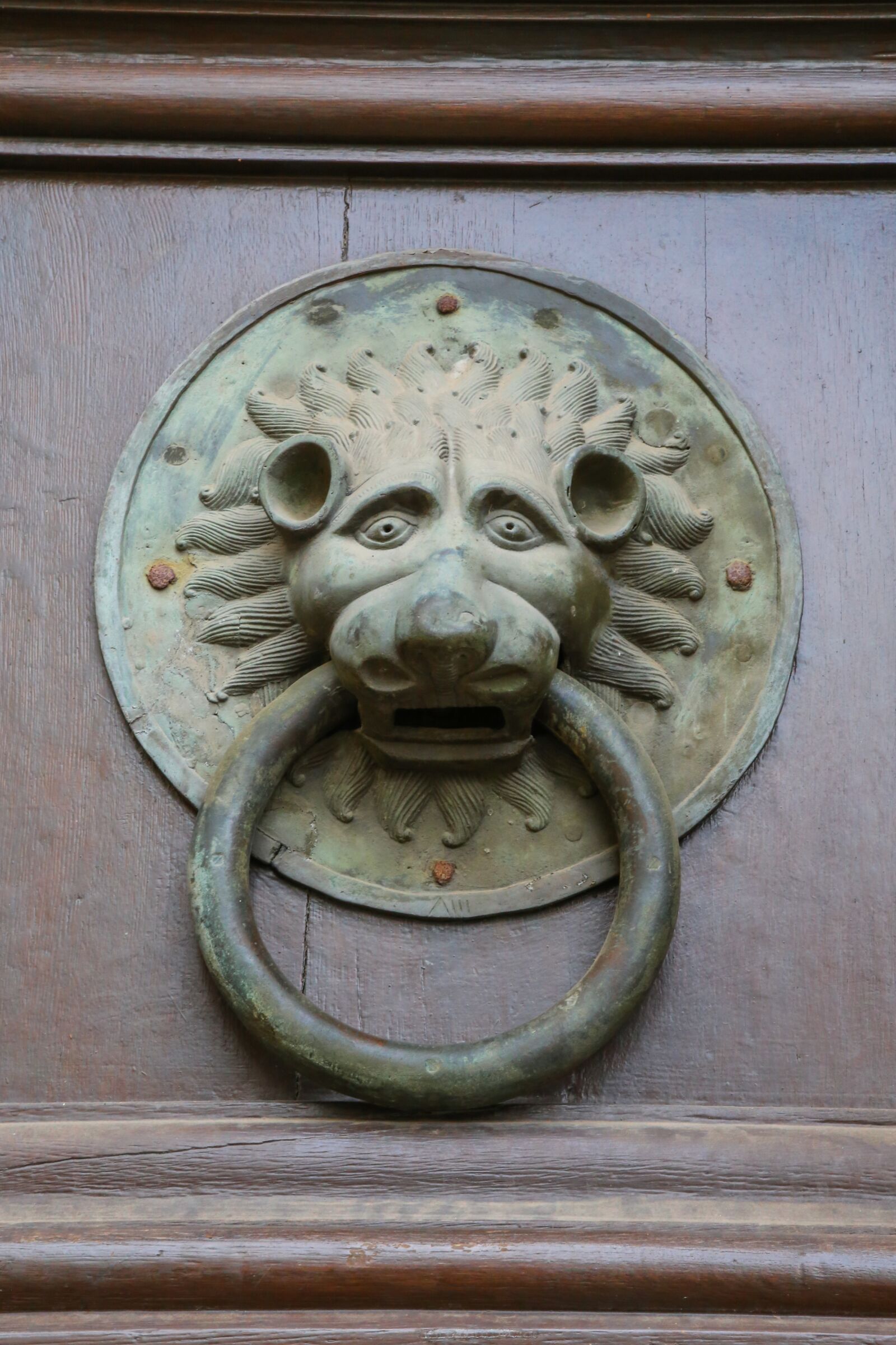 Canon EF 24-105mm F4L IS II USM sample photo. Door handle, doorknocker, front photography