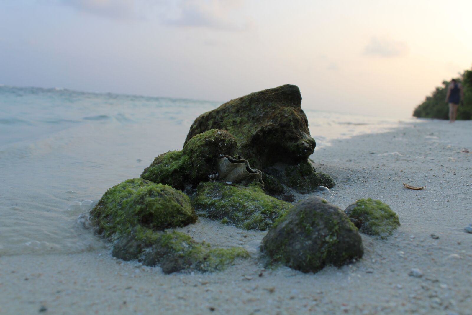 Canon EOS 600D (Rebel EOS T3i / EOS Kiss X5) sample photo. Sand, water, beach photography