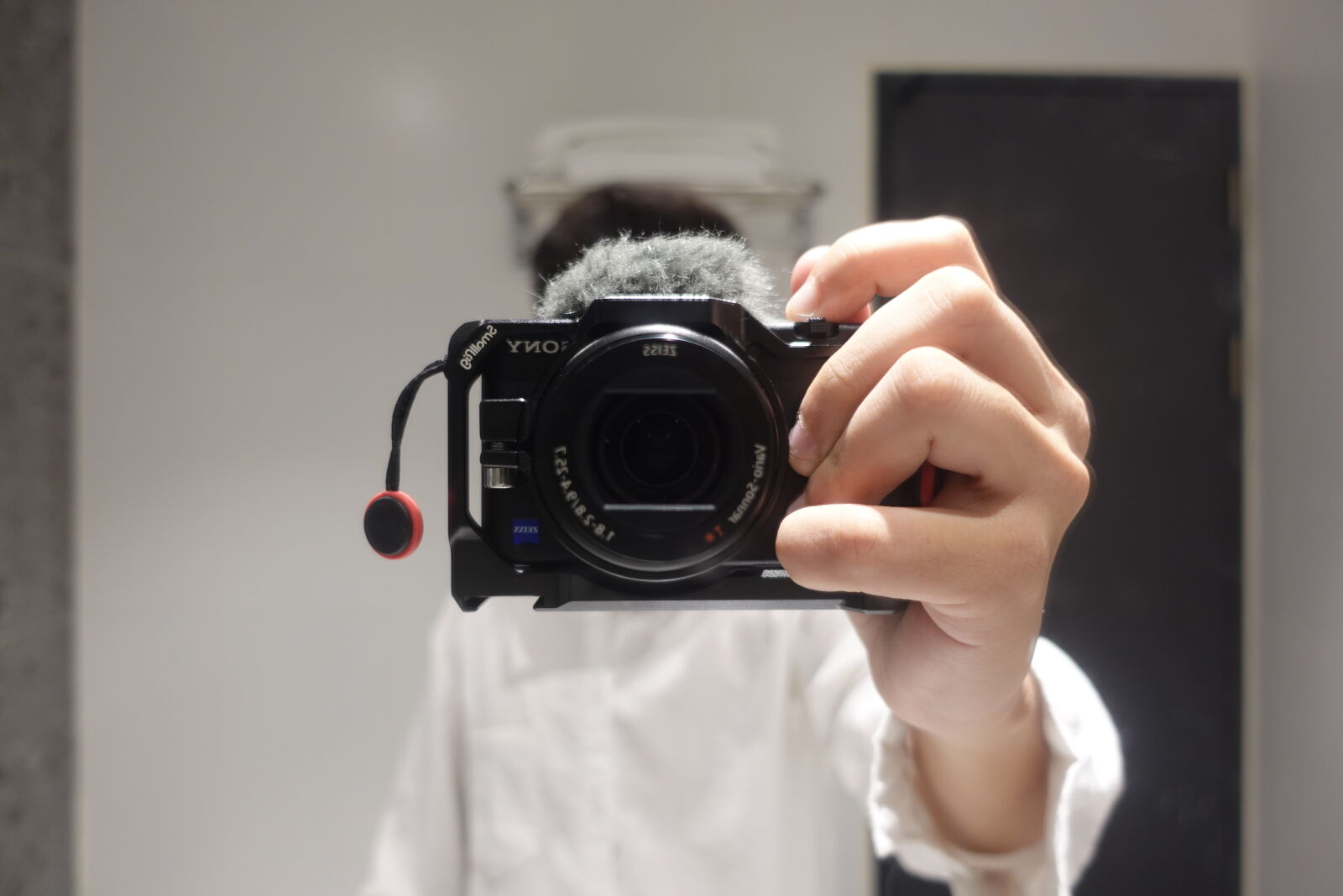 Sony ZV-1 sample photo