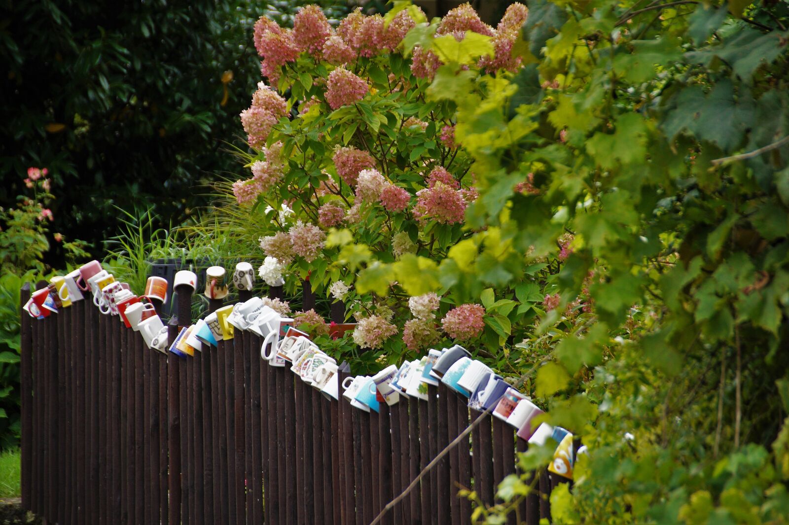 Sony SLT-A58 sample photo. Fence, wooden fence, picket photography