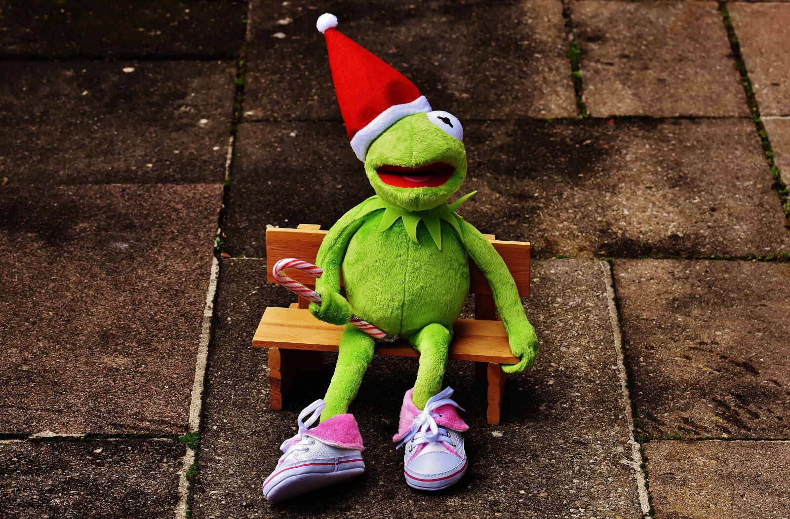 Nikon D7200 sample photo. Kermit, frog, christmas photography
