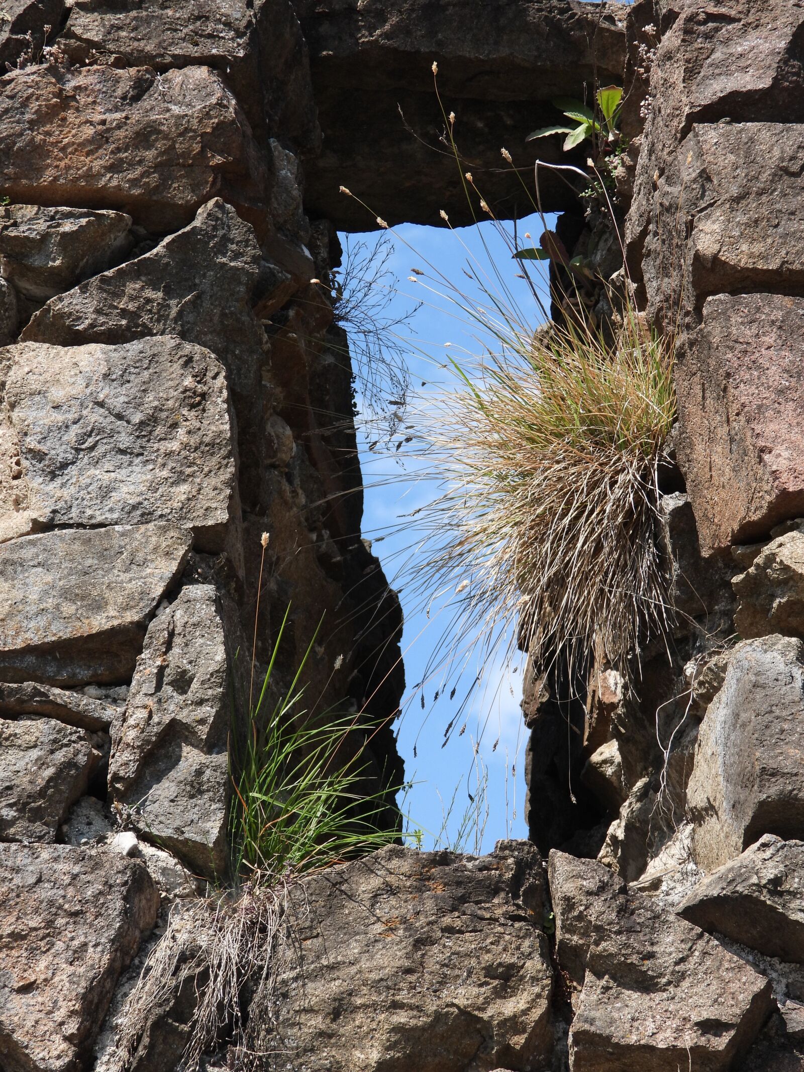 Nikon Coolpix P1000 sample photo. Castle, ruin, window photography