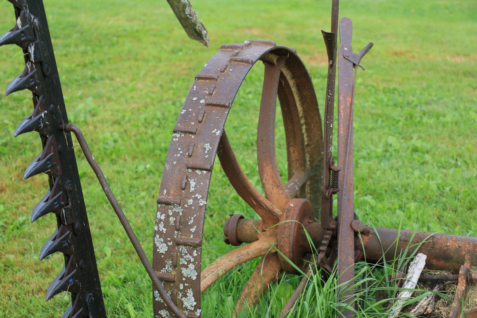 Canon EOS 7D Mark II sample photo. Wood, grass, farm photography
