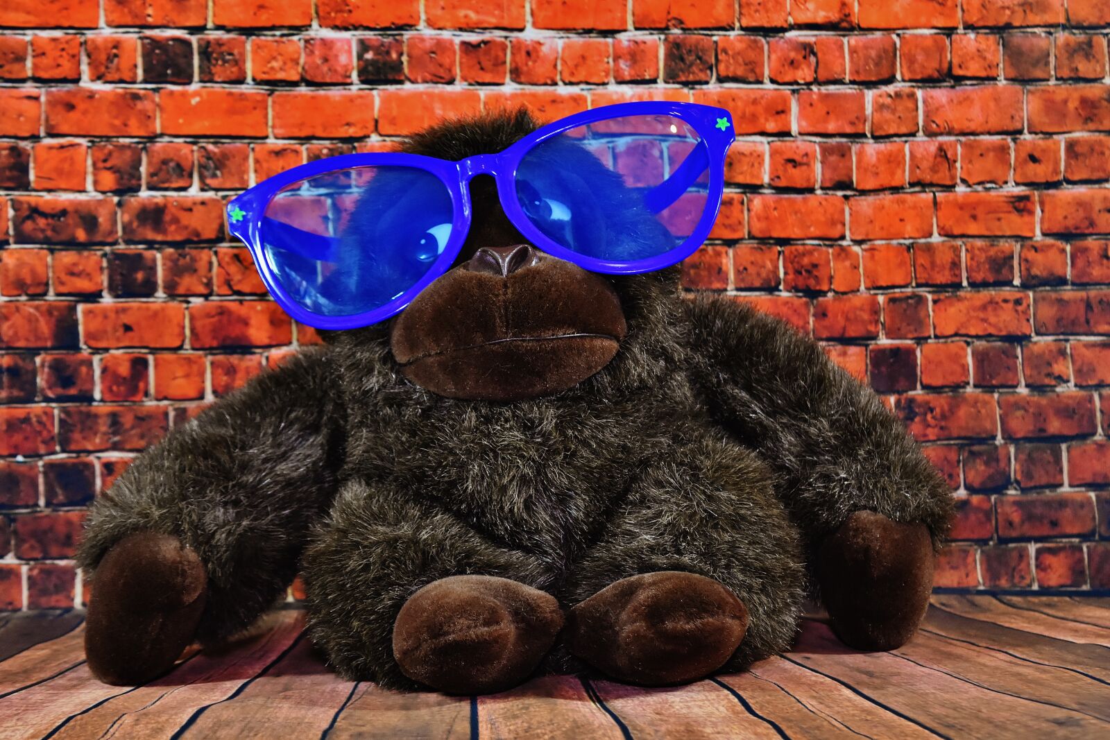 Nikon D7200 sample photo. Funny, glasses, huge photography