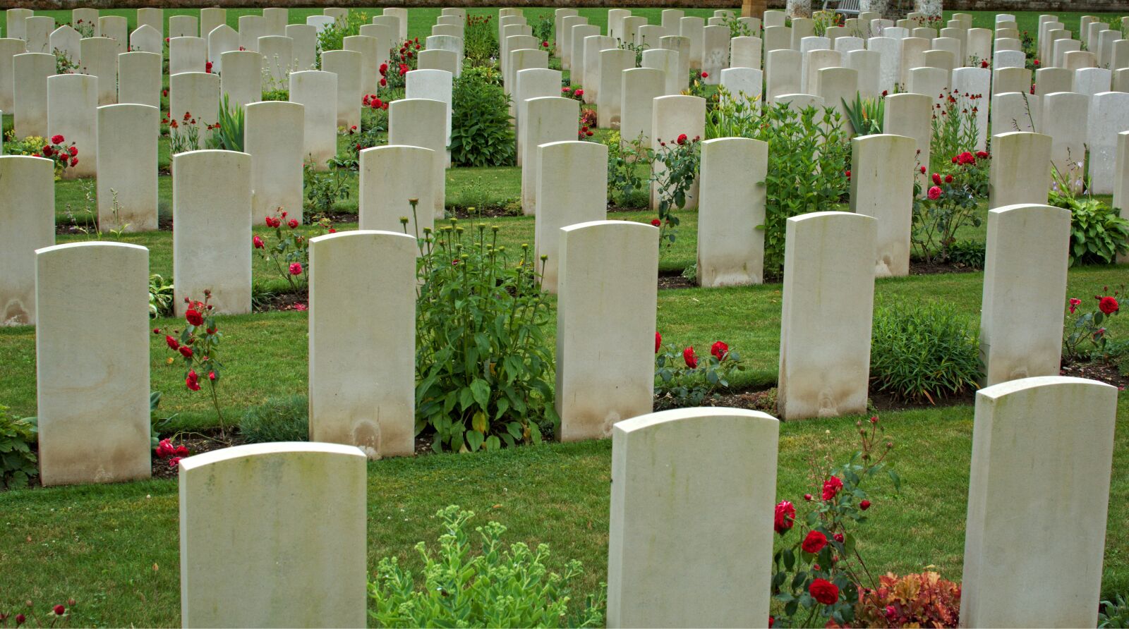 Nikon D7100 sample photo. War, world war, memorial photography