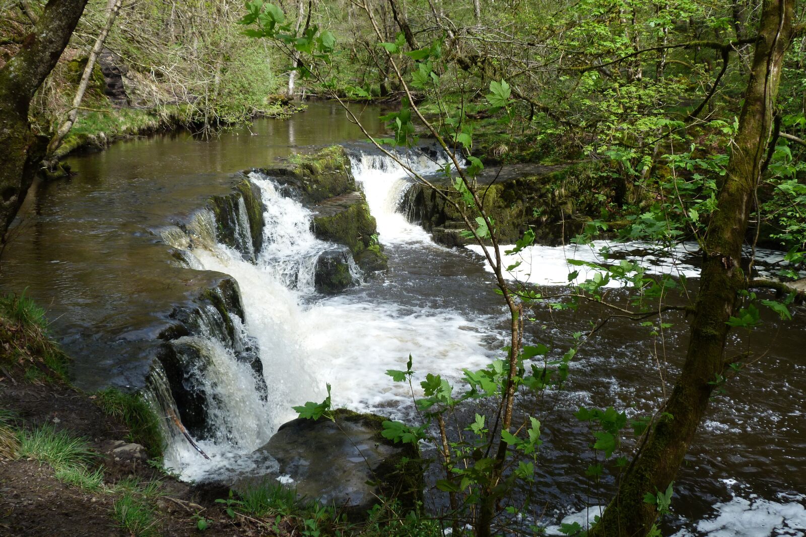Panasonic Lumix DMC-FZ40 (Lumix DMC-FZ45) sample photo. Waterfall, wales, brecon beacons photography