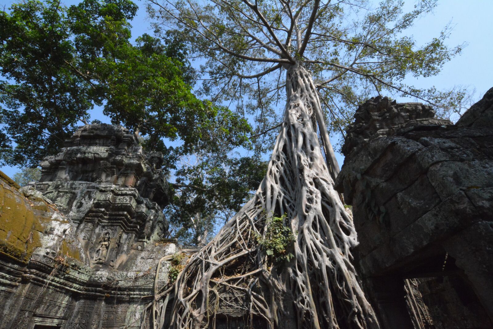 Nikon D7100 sample photo