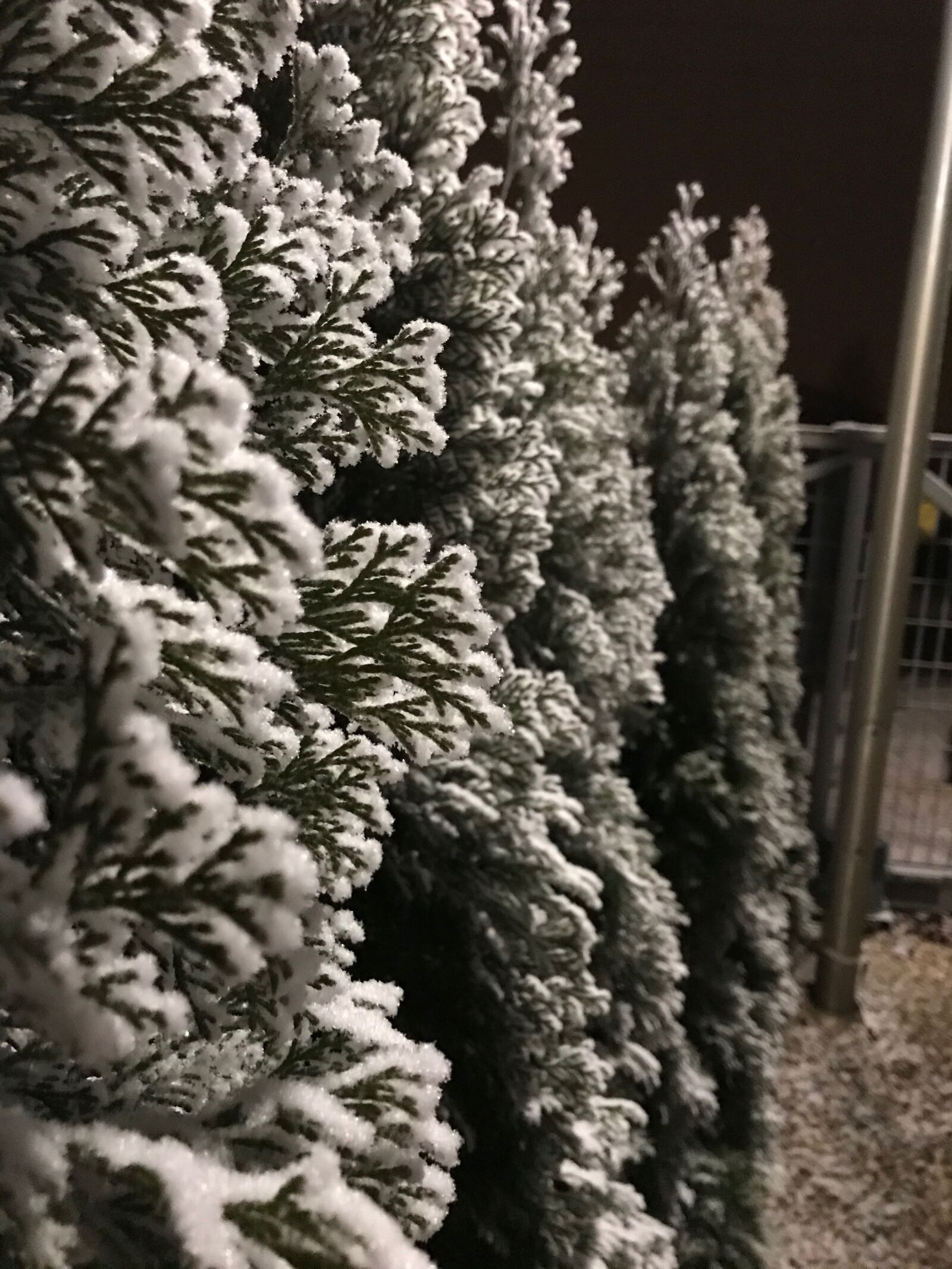 iPhone 7 back camera 3.99mm f/1.8 sample photo. Winter, snow, cold photography