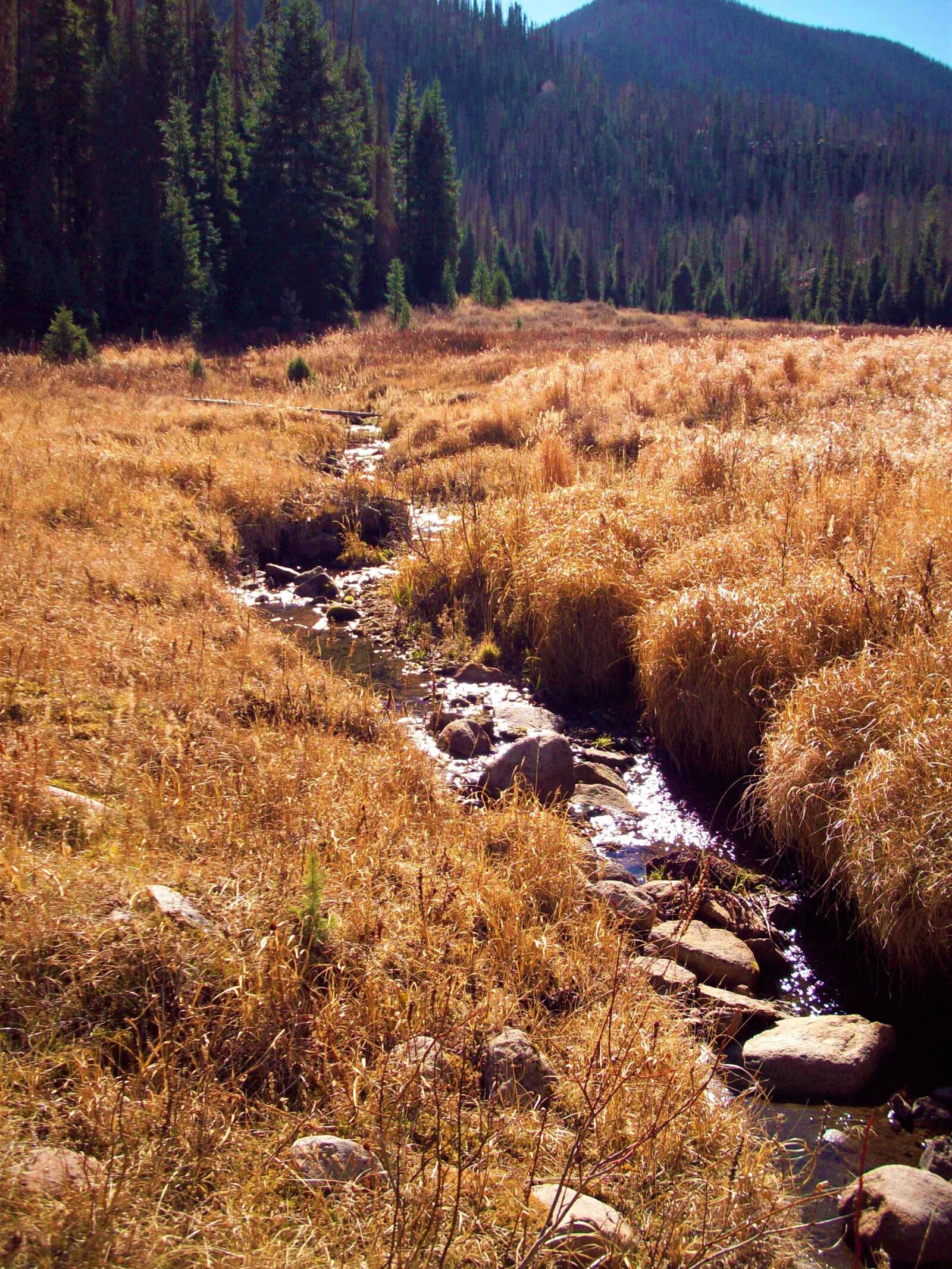 Kodak EASYSHARE M853 ZOOM DIGITAL CAMERA sample photo. Autumn, stream, mountains photography