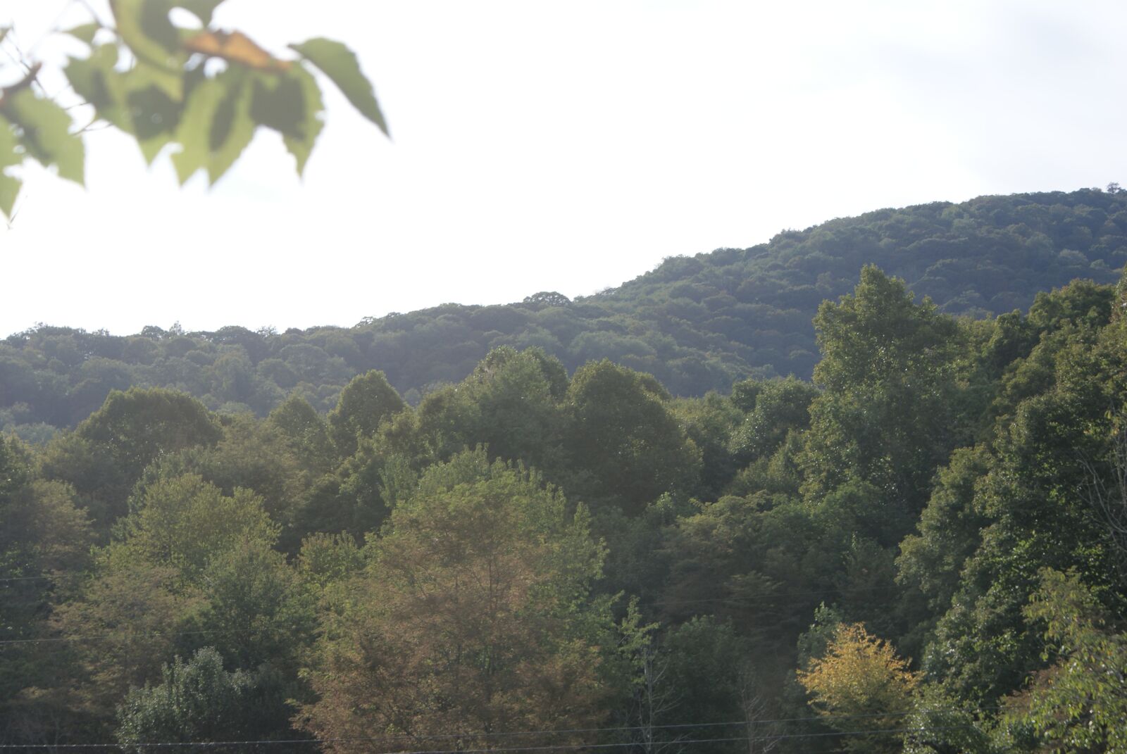 Sony Alpha DSLR-A200 sample photo. Mountains, forest, trees photography