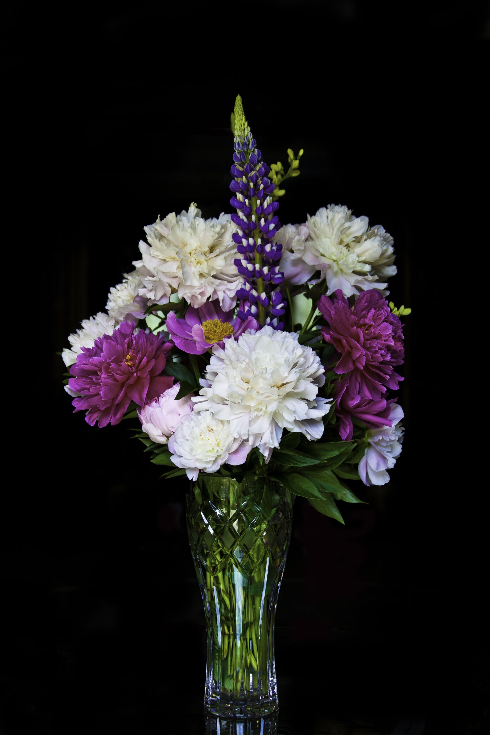 Canon EOS 5D Mark II + Canon EF 28-300mm F3.5-5.6L IS USM sample photo. Flowers, vase, black photography