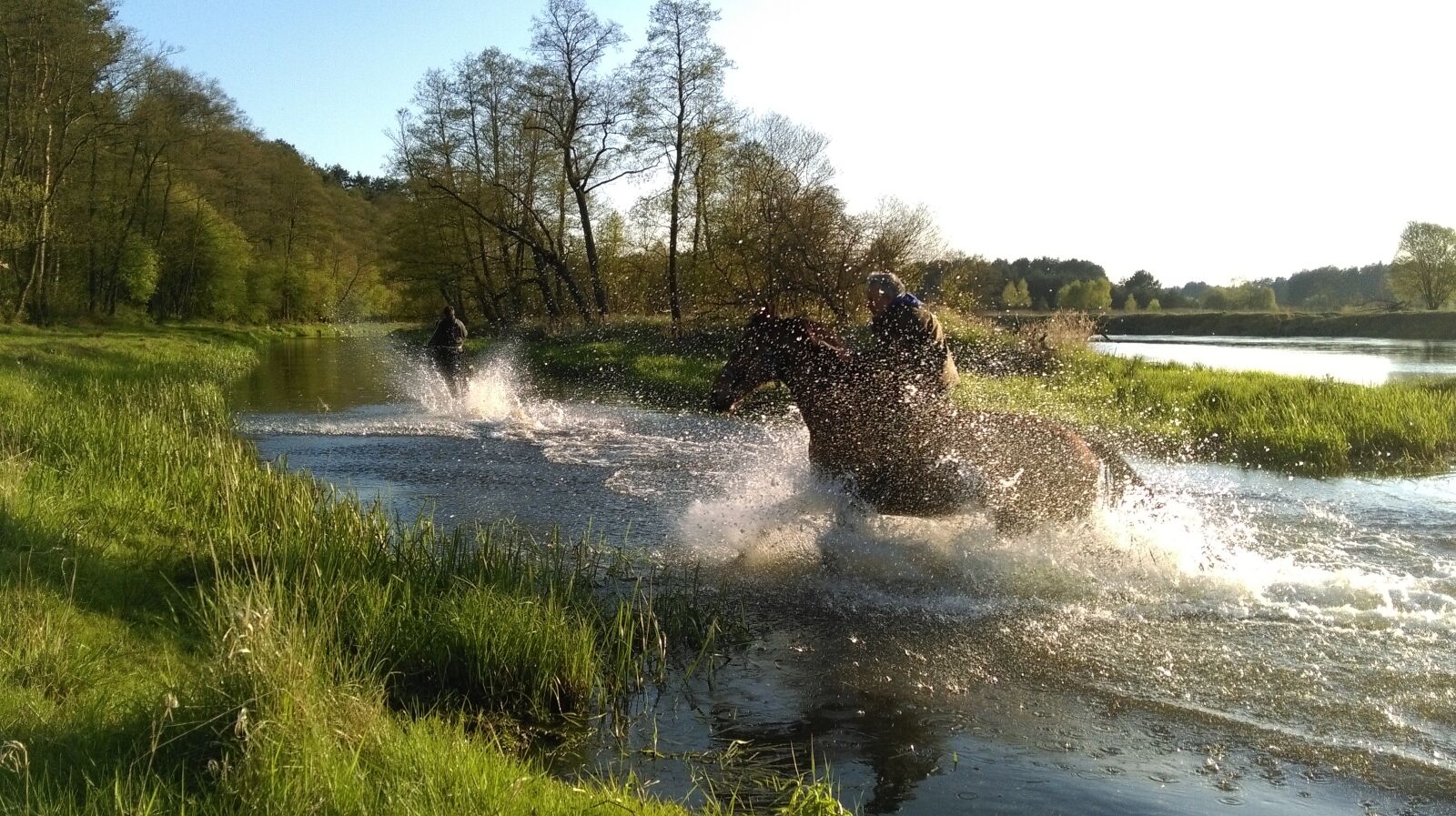 HTC DESIRE 820 sample photo. Horseback riding, water, horse photography