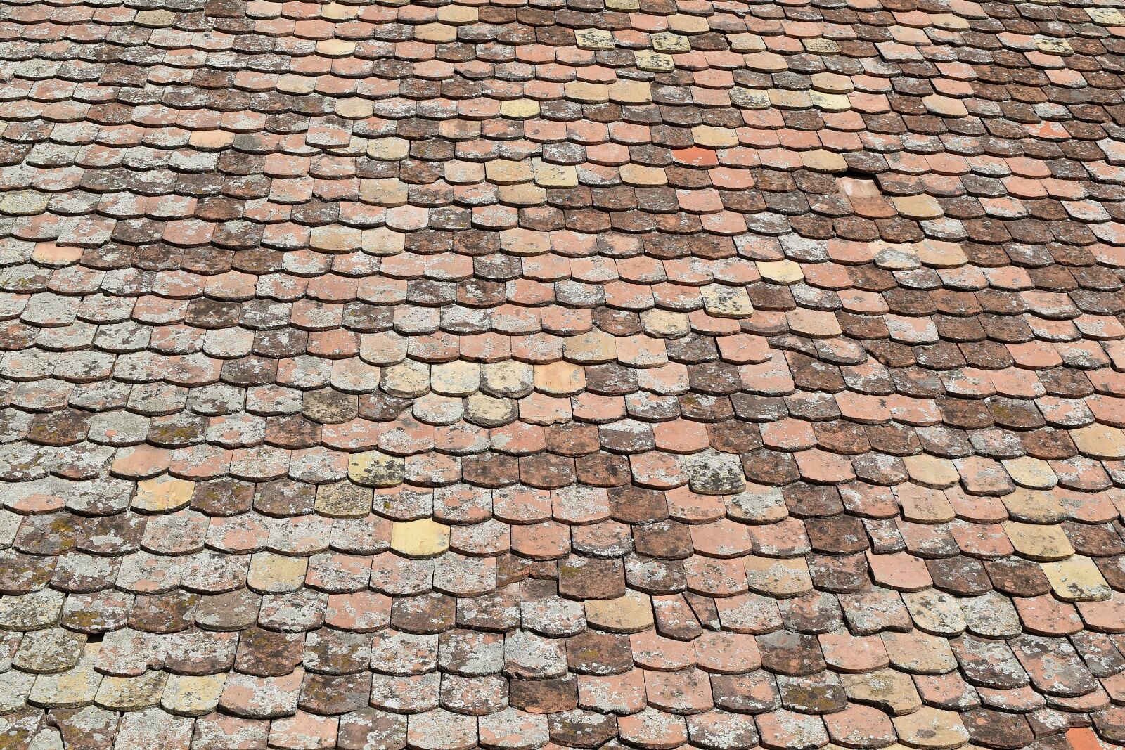 Nikon D5500 sample photo. Roof, exterior, brick, tile photography