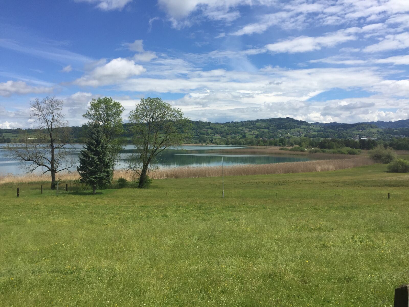 Apple iPhone 6 sample photo. Pfäffikersee, turquoise, clouds photography