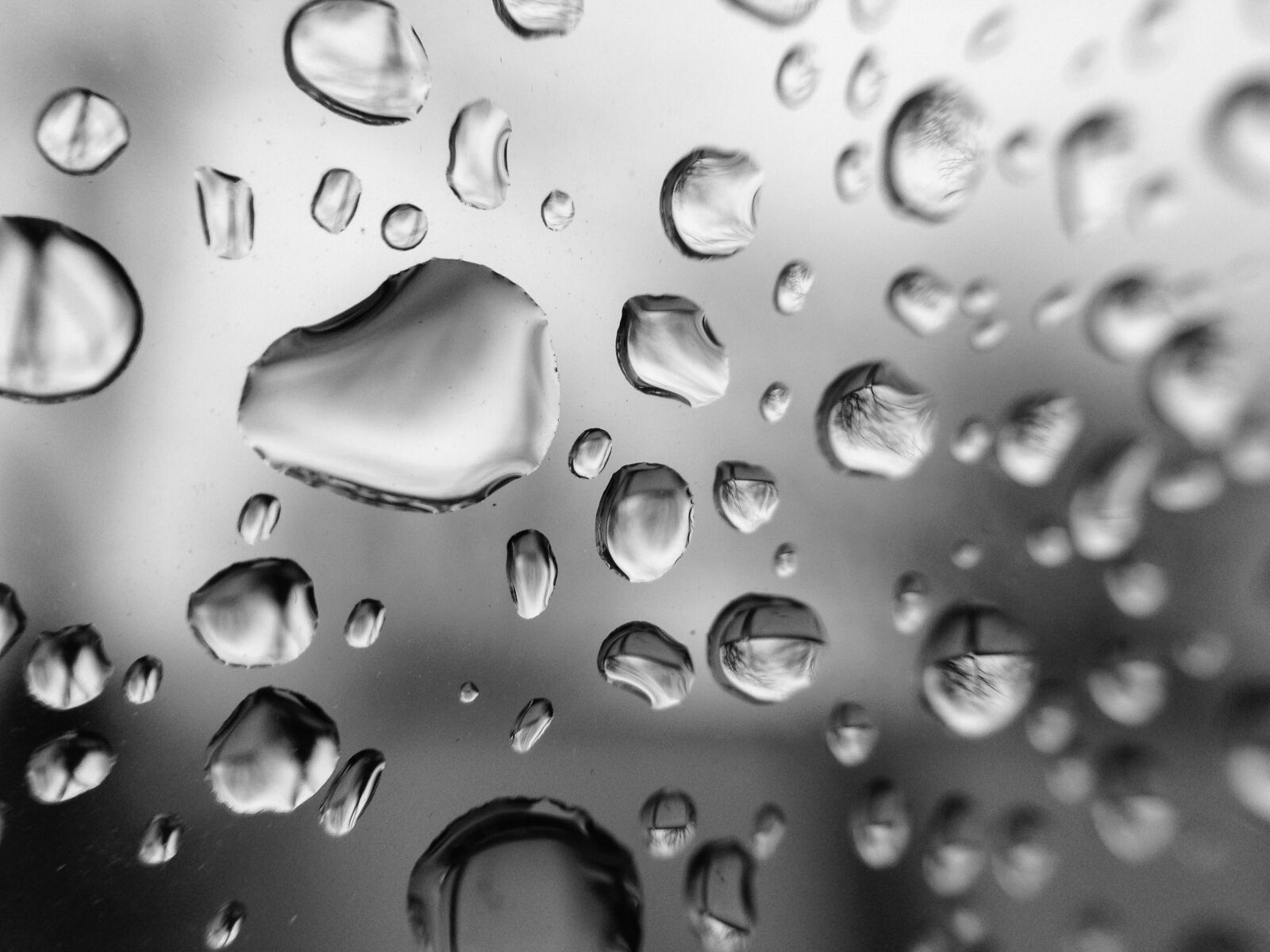 iPhone 5 back camera 4.12mm f/2.4 sample photo. Water, drops, rain photography