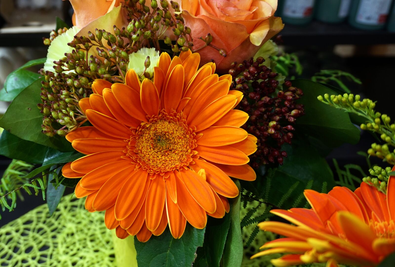 Sony Alpha a5000 (ILCE 5000) sample photo. Daisies, flower, orange photography