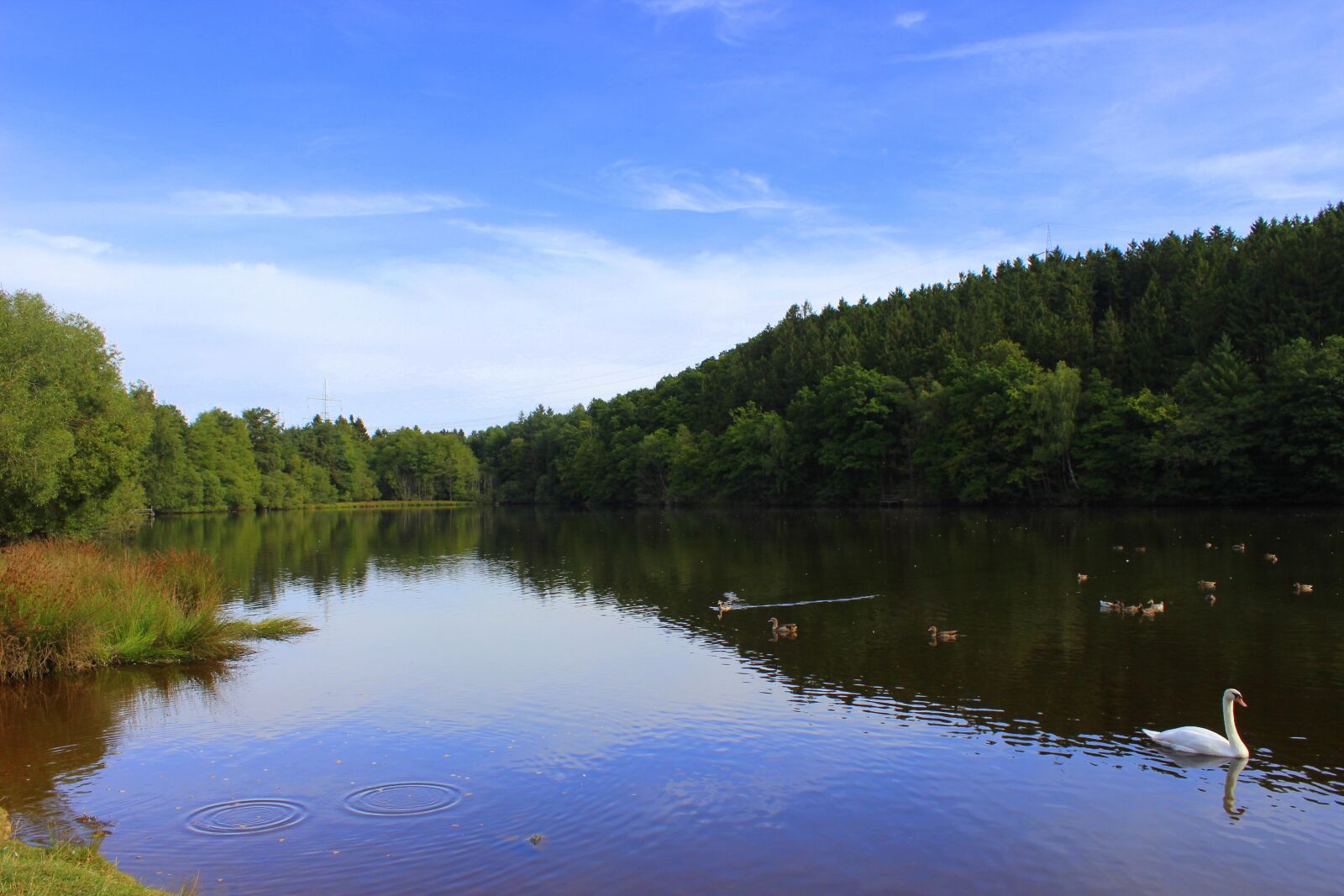 Canon EOS 600D (Rebel EOS T3i / EOS Kiss X5) sample photo. Lake, landscape, nature photography
