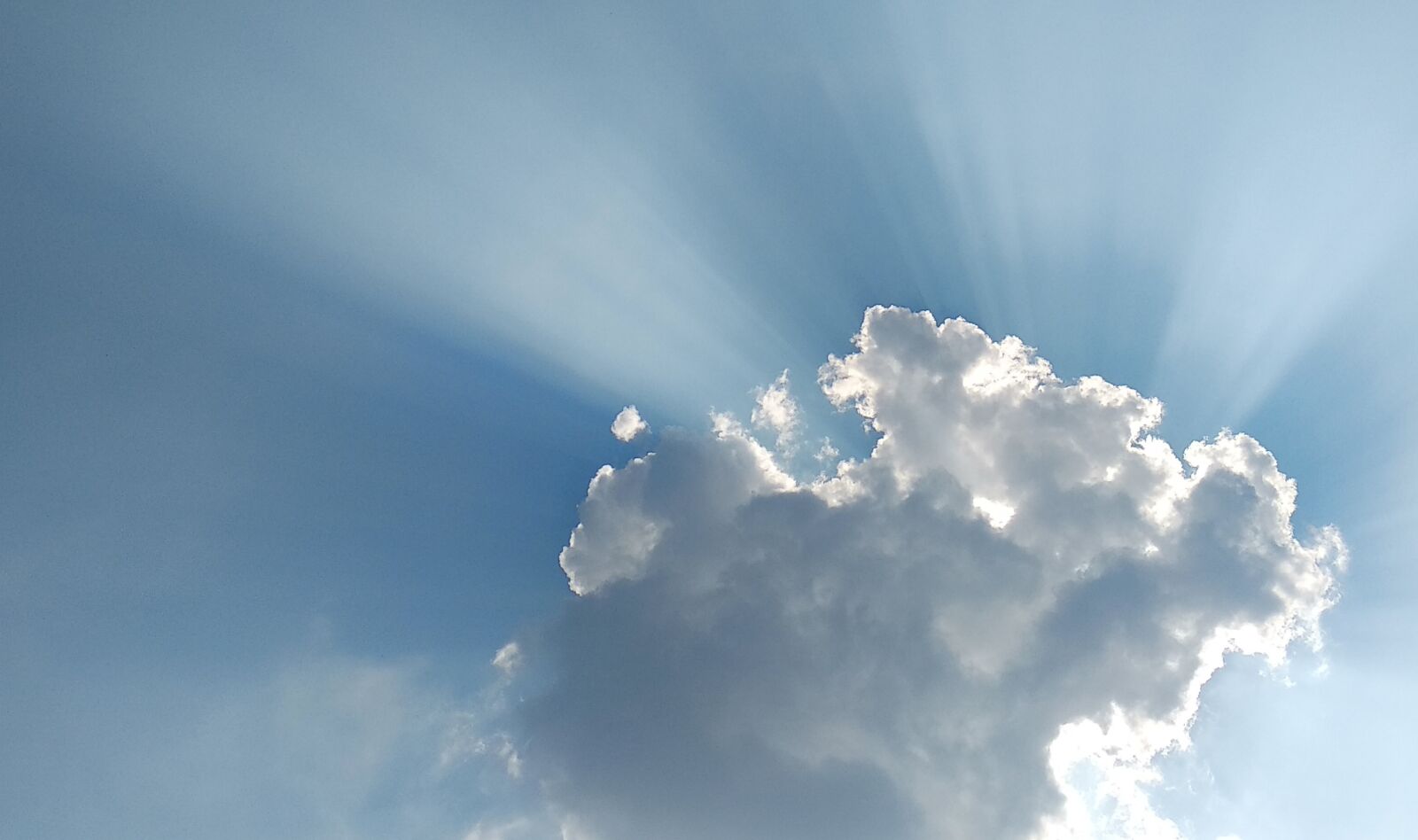 Xiaomi Mi A1 sample photo. Sky, nature, downy photography