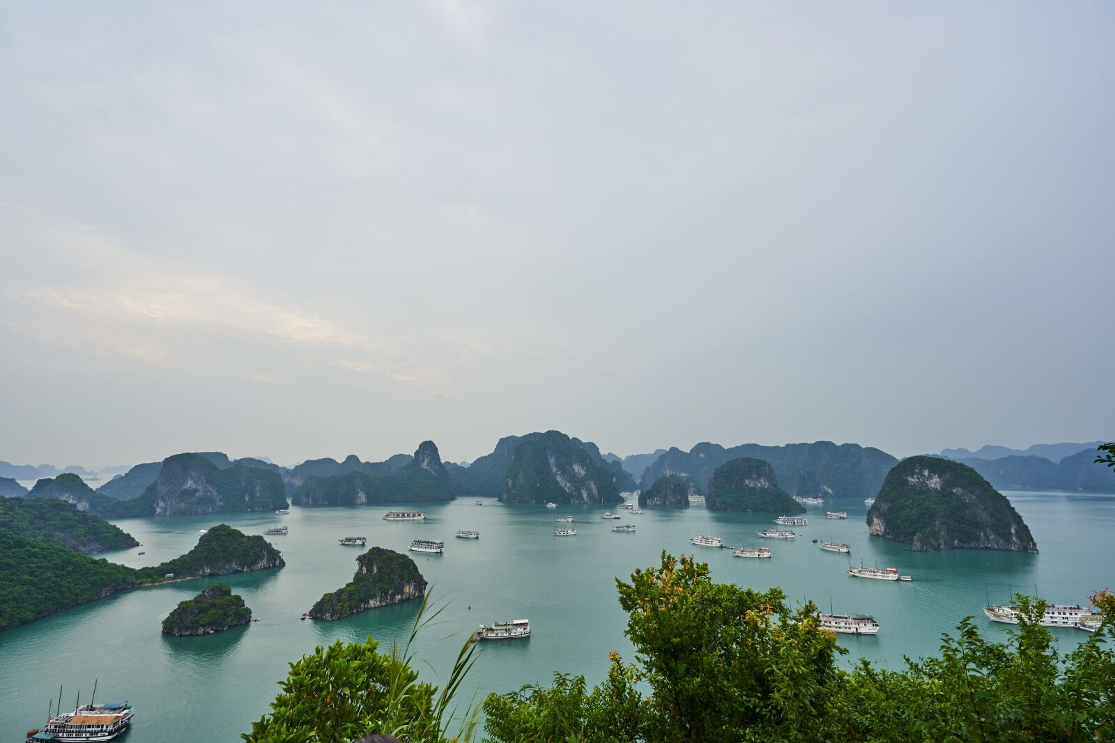 Sony FE 16-35mm F2.8 GM sample photo. Vietnam, halong bay vietnam photography