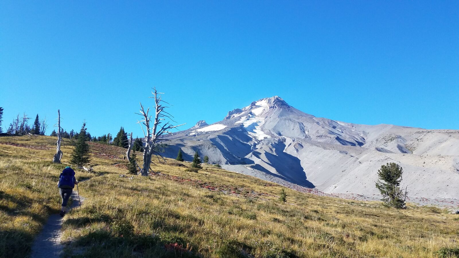 Samsung Galaxy S7 sample photo. Mt hood, mountain, trail photography