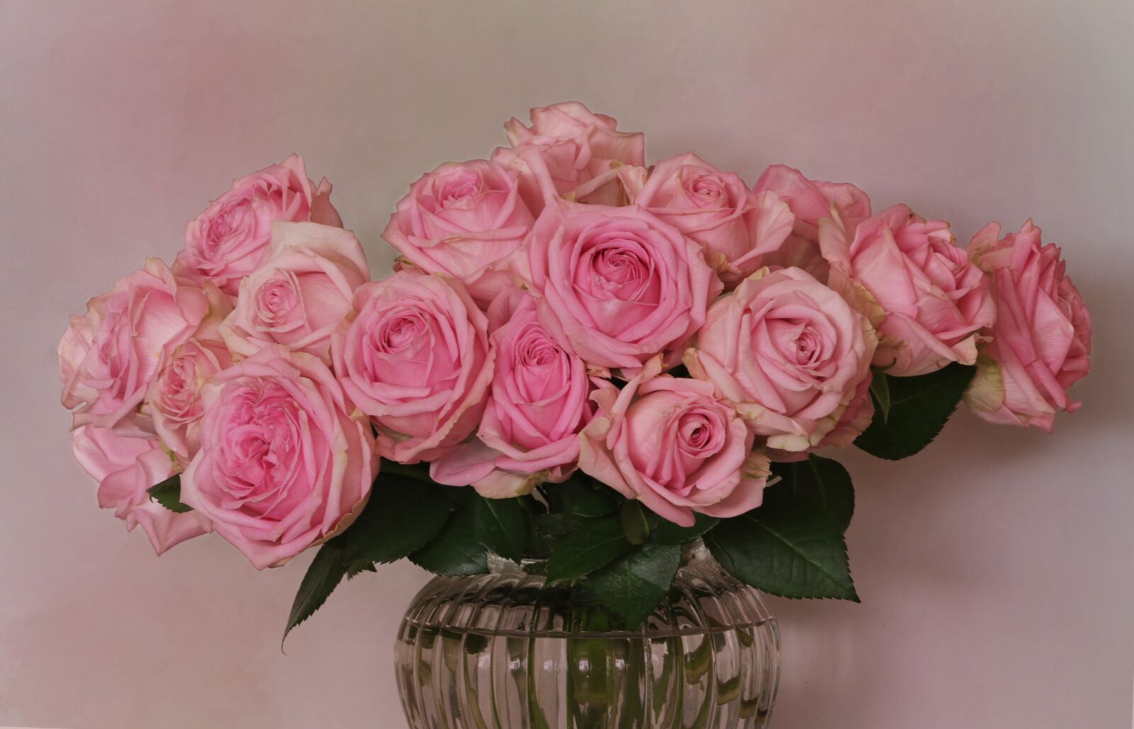 Canon EOS 7D Mark II sample photo. Nature, flowers, birthday photography